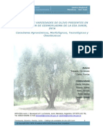 Presentación e Instructivo PDF