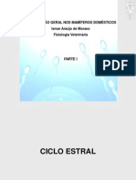Ciclo Estral Gestacao - Site