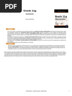 Download Oracle 11g Administrator by pepeperez78es SN126680737 doc pdf