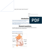 Talyn Pig Heart Dissection Document Edited