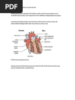 Konsep Sistem Limfa