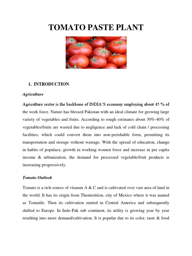 Tomato Paste Plant PDF Tomato Ketchup