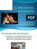 El Proceso Del Nacimiento