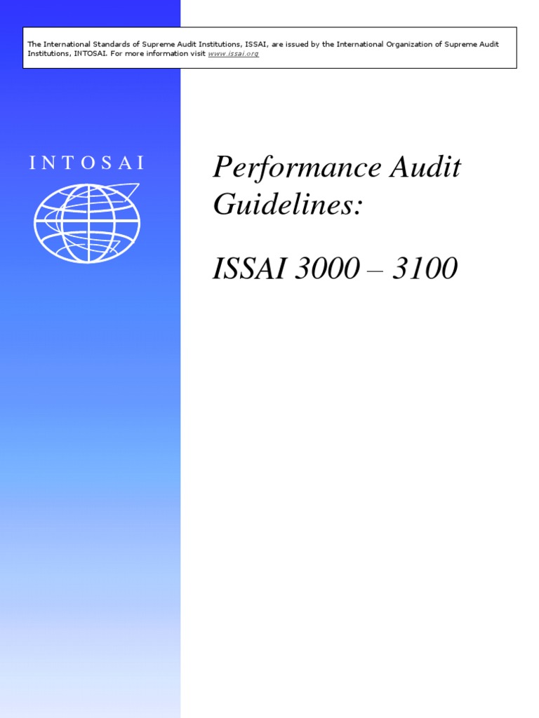 Performance Audit Guidelines E | PDF | Program Evaluation | Audit