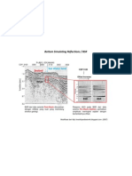 Bottom Simulating Reflections / BSR: Seabed