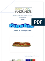 sandesII