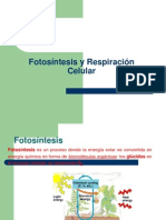 fotosintesis.ppt