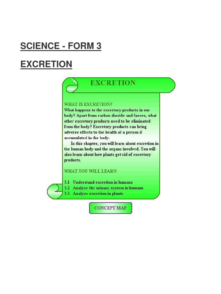 SCIENCE Form 3-Excretion | PDF | Kidney | Excretion