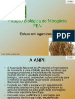 Fbn Curso Final