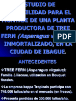 Conservación de Tree Fern.ppt