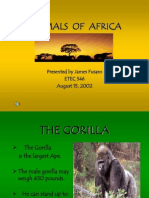 Animals of Africa: Gorillas, Zebras, Elephants, Lions and Giraffes