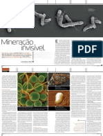 Biomineracao PDF