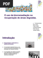 METAIS PESADO BIORREMEDIAÇAO.pdf