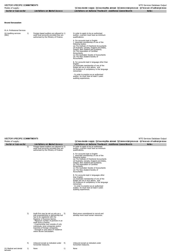 Brunei PDF Accountant Audit