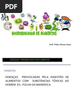 Importância dos Microrganismos no Alimento