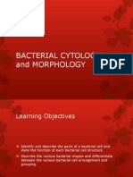 Bacterial Cell Structure and Morphology