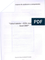 Calcul tabelar - Modulul 4 - Excel 2007