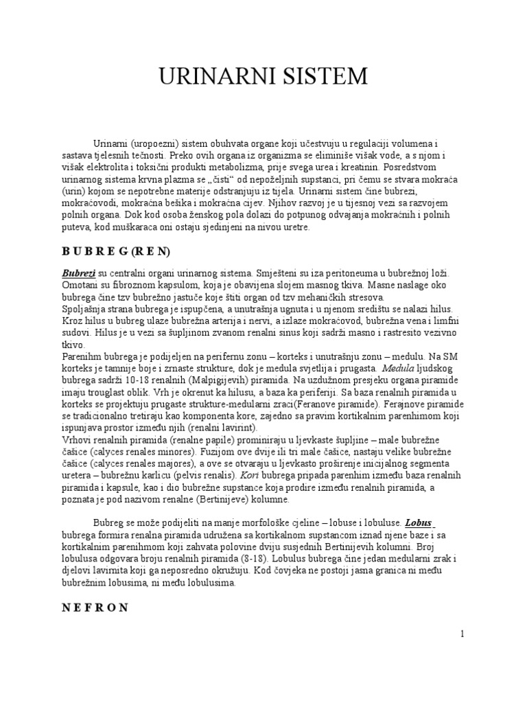 Urinarni Sistem | PDF