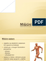 Mišićni Sistem - Prezentacija