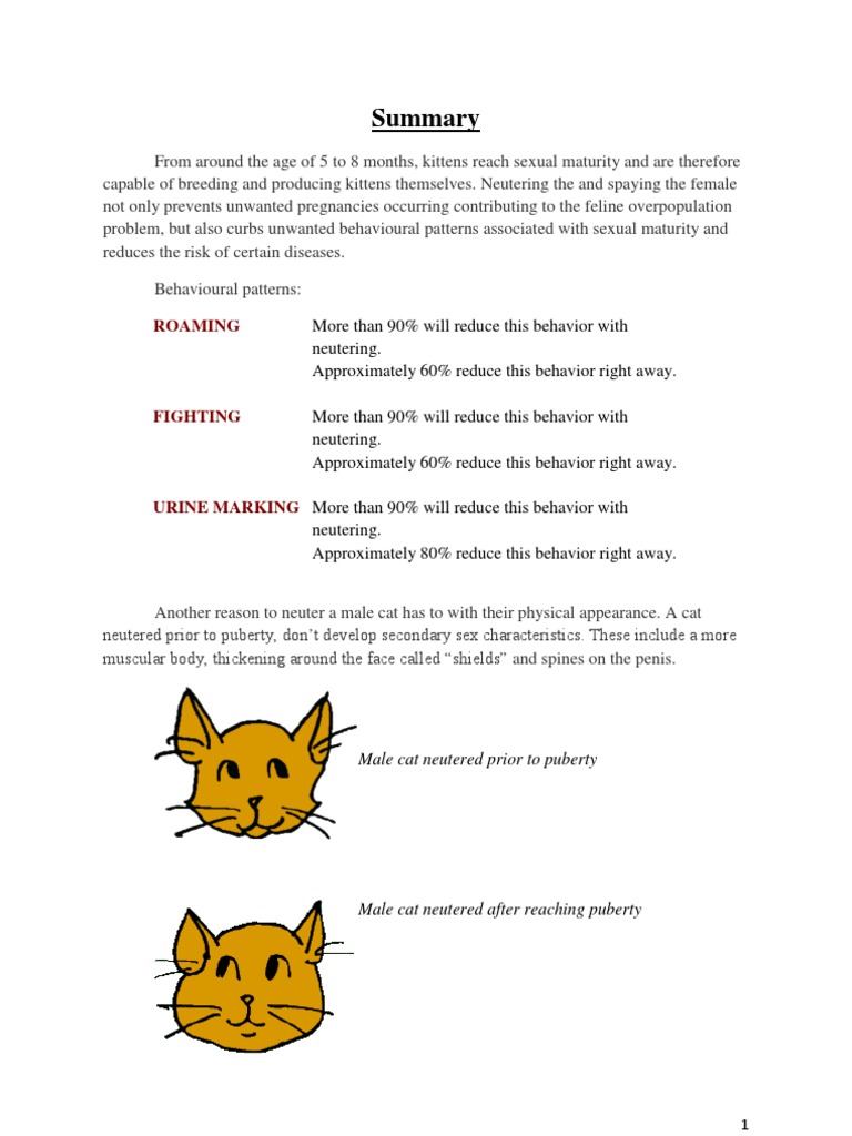 Neutering in cats Neutering Cats