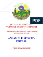 Ansamblu Sportiv Fotbal