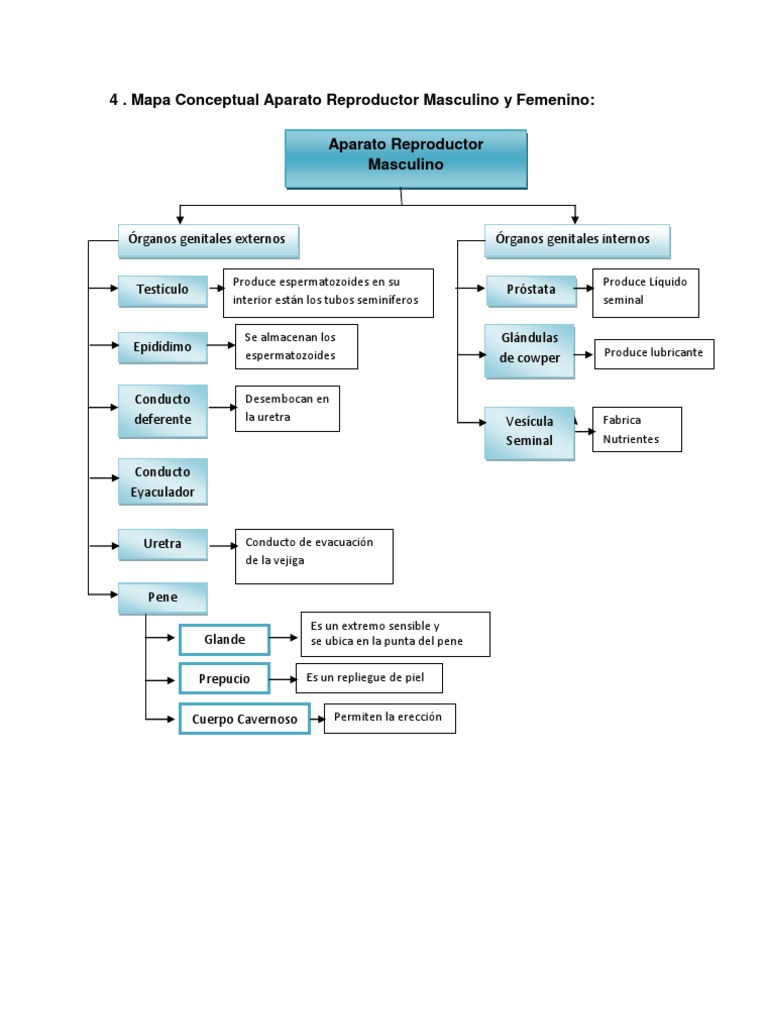 mapa conceptual.docx