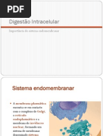 12 Obtencao de Materia Hetero2