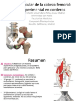 Necrosis Avascular de La Cabeza Femoral