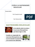 Taller Introduccion A La Gastronomia Molecular