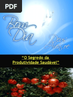 3º SEGREDO DA VINHA - PRODUTIVIDADE