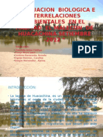 Diapositivas Huacachina - Ecologia 1