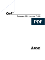 CA7-33-DBMaint