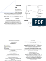 Pruebas Bioquimicas Final