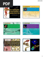 ASPECTOS ANATOMO-FUNCIONAIS E BIOMECÂNICOS-1ªPARTE
