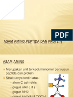 Asam Amino, Peptida Dan Protein Linda