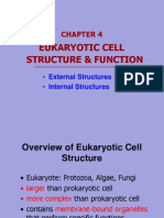 Chap4.1 Eukaryotic Cell