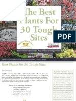 Best Plants For 30 Tough Sites