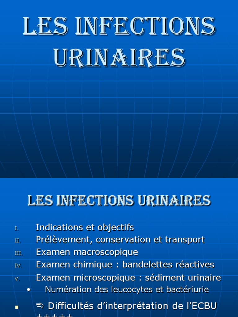 Infections Urinaires Table Ronde SCBC PDF Urine Infection urinaire