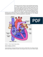 Struktur dan Fungsi Jantung