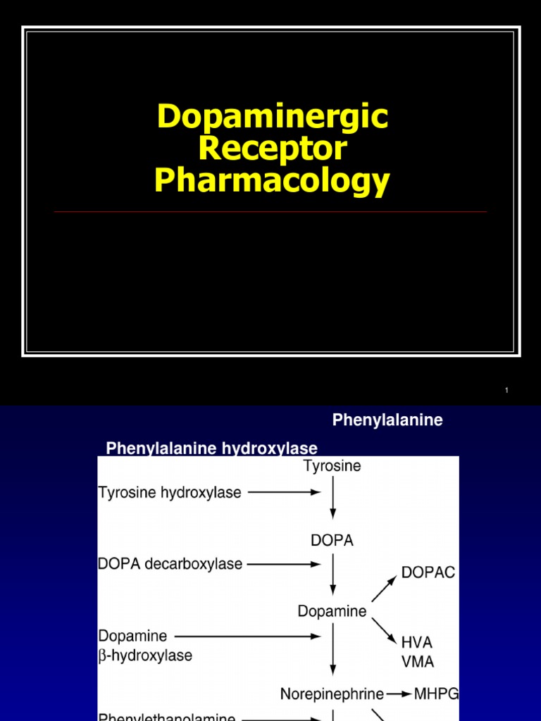 Dopaminergic Receptor Pharmacology Overview | PDF | Dopamine ...