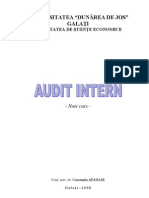 Audit Intern Afanase