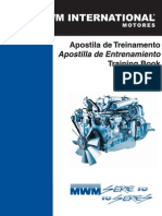 Tecnico motor Serie 10 - MWM.pdf