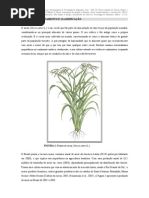 Beneficiamento.arroz.apostila