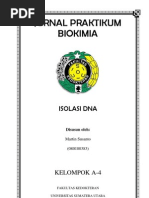 Download Isolasi DNAdocx by Martin Susanto SN127006813 doc pdf