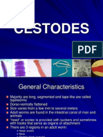 CESTODES: KEY CHARACTERISTICS AND CLASSIFICATION