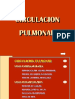 3CIRCULACIONPULMONARind