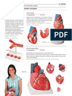 Anatomie&Biologie