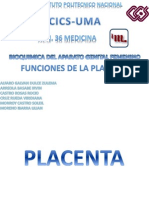 Funciones de La Placenta