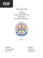 Download a project report on Cyber Crime by Manish Gujrati SN127027833 doc pdf