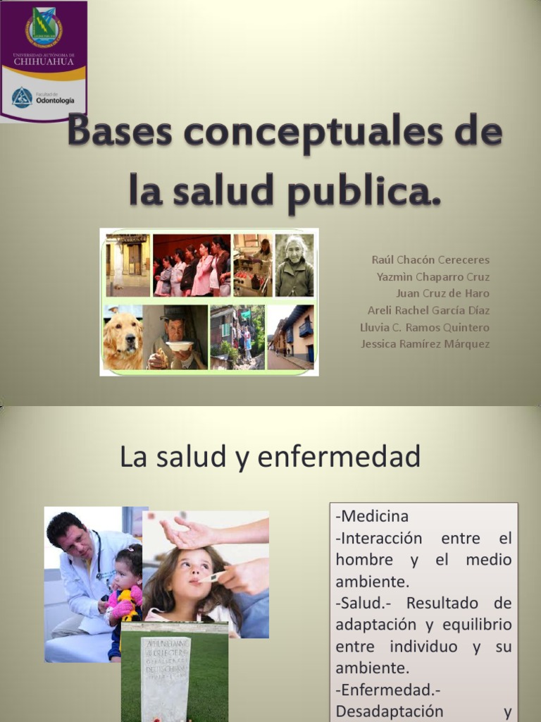 Bases Conceptuales de La Salud Publica
